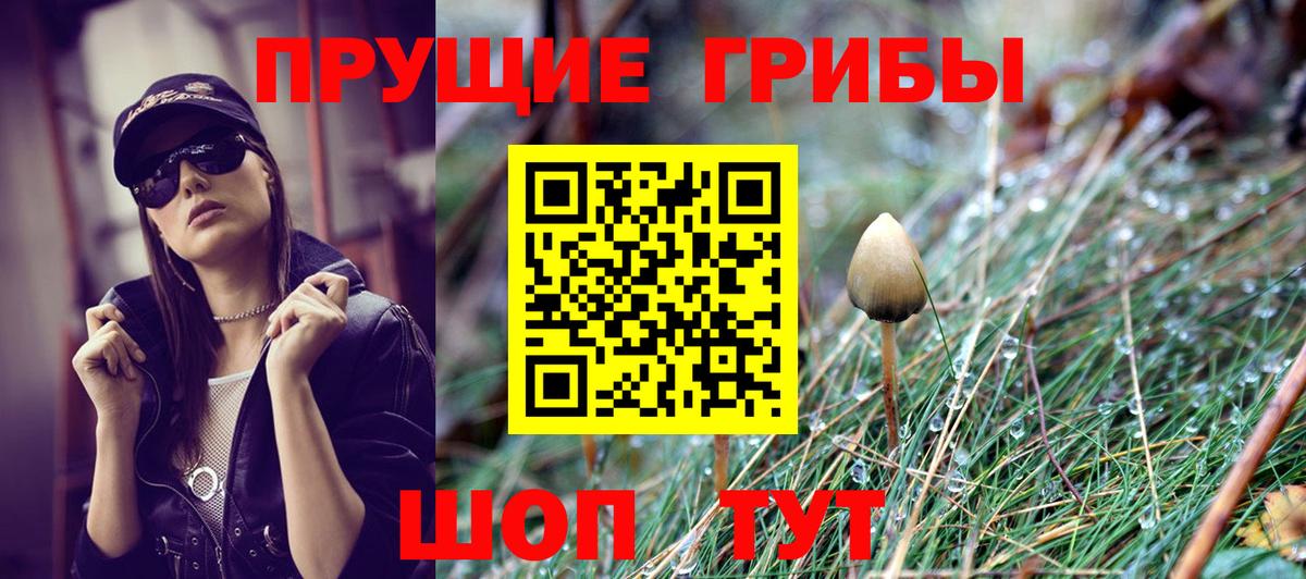 Псилоцибиновые грибы Magic Shrooms  Галлюциногенные грибы мухоморы  Брянск  цены   Вход с VPN 