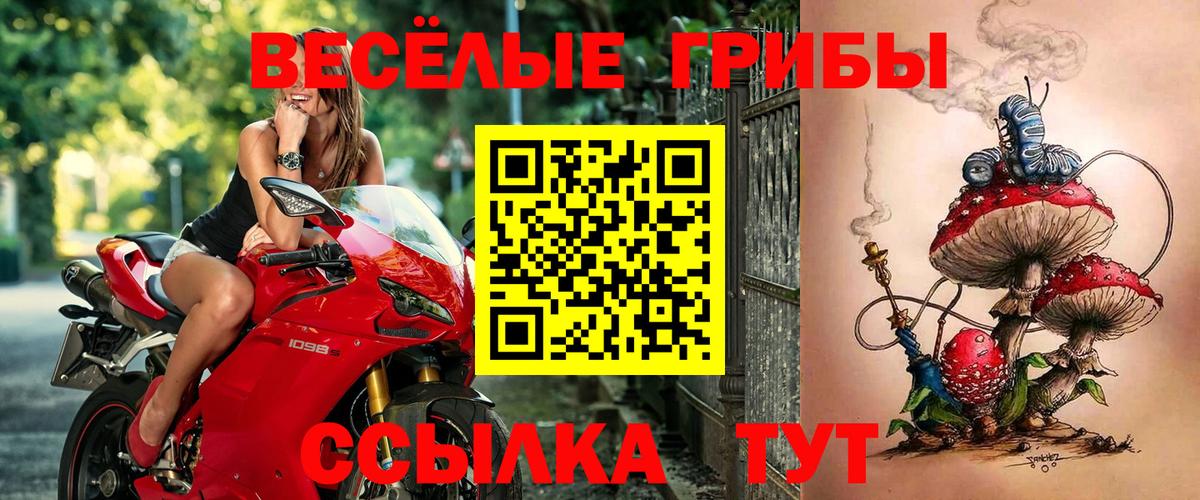 Псилоцибиновые грибы Cubensis Брянск